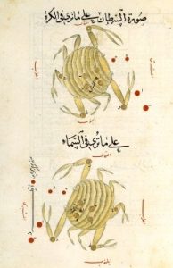 constellation_crabe_-_al-sufi
