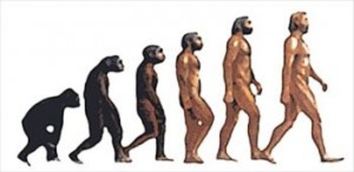 Îndoctrinarea evoluţionistă în masă