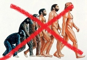Evoluționism – partea a 6-a
