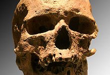 Homo sapiens arhaic, Homo heilderbergensis şi Omul Cro-magnon