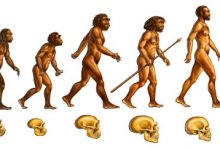 Impasul molecular al evoluţionismului